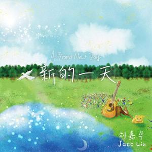 温柔的遗孀希岛爱理
