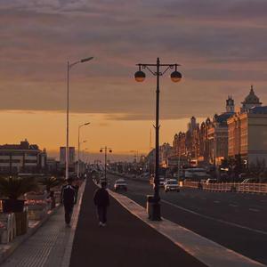温柔的遗孀希岛爱理
