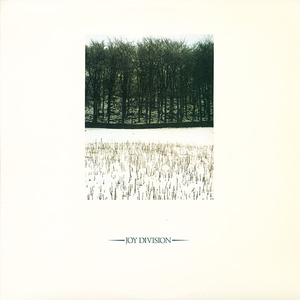 温柔的遗孀希岛爱理
